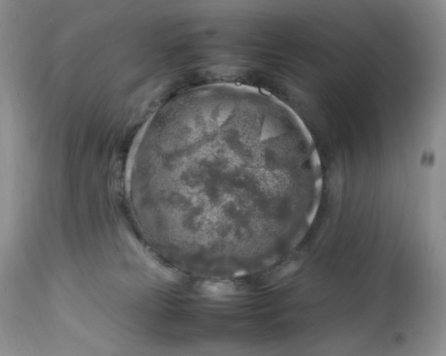 X0000112750181200909101549