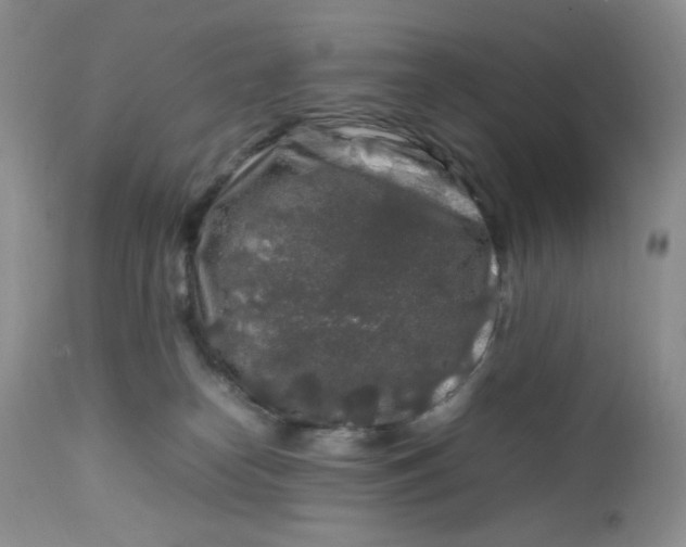 X0000112750182200909101549