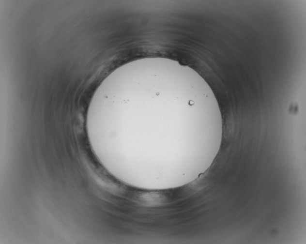 X0000112750183200909101549