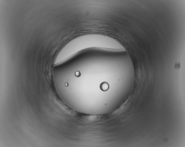 X0000112750184200909101549