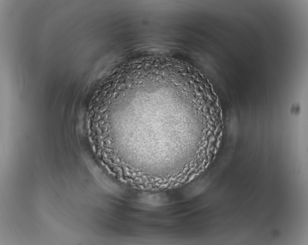 X0000112750185200909101549