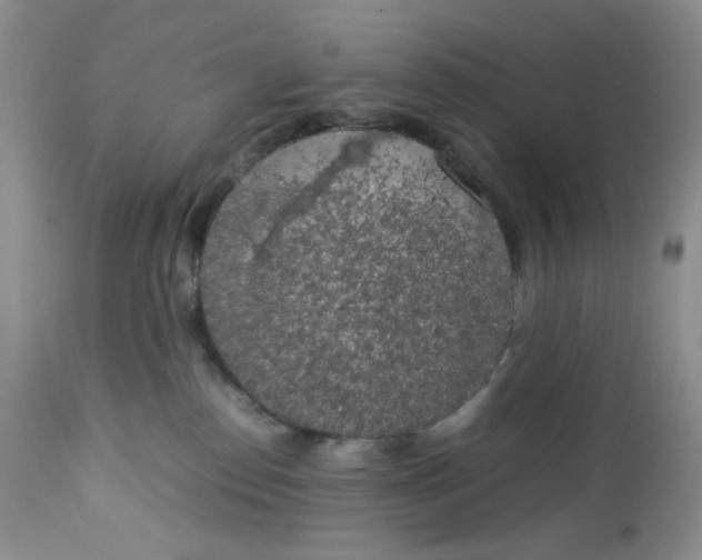 X0000112750186200909101549