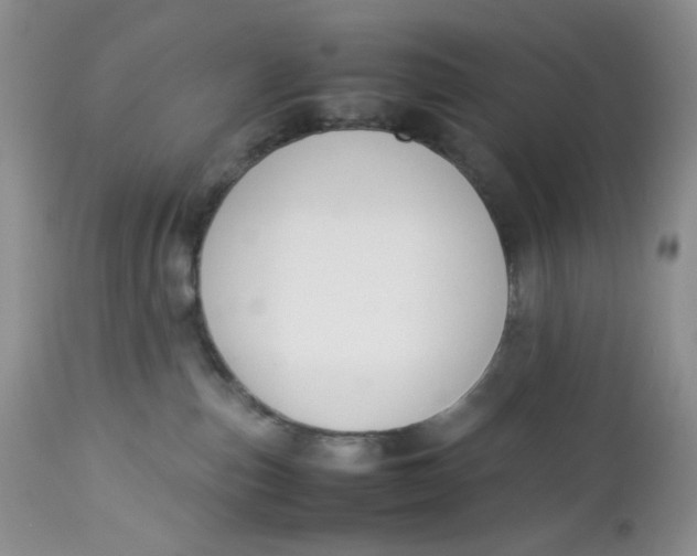 X0000112750187200909101549