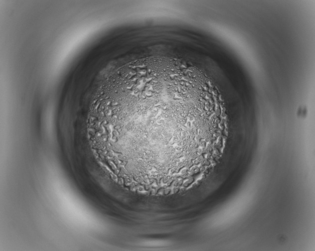 X0000112750189200909101549