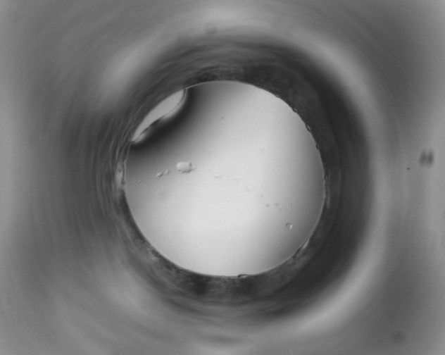 X0000112750190200909101549