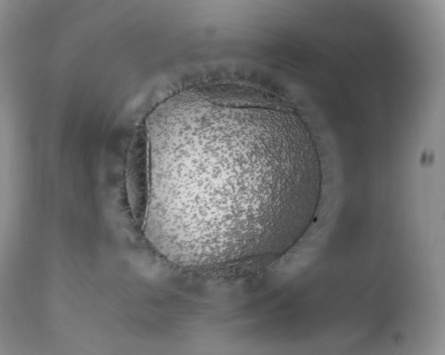 X0000112750192200909101549