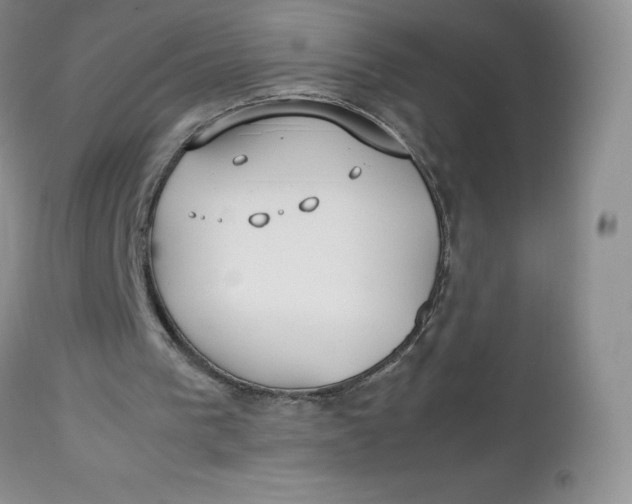 X0000112750193200909101548