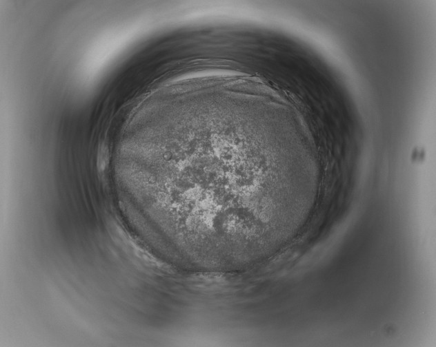 X0000112750194200909101548