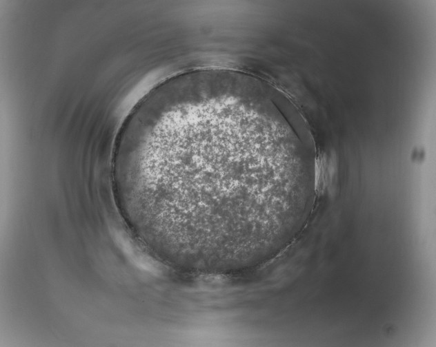 X0000112750195200909101548