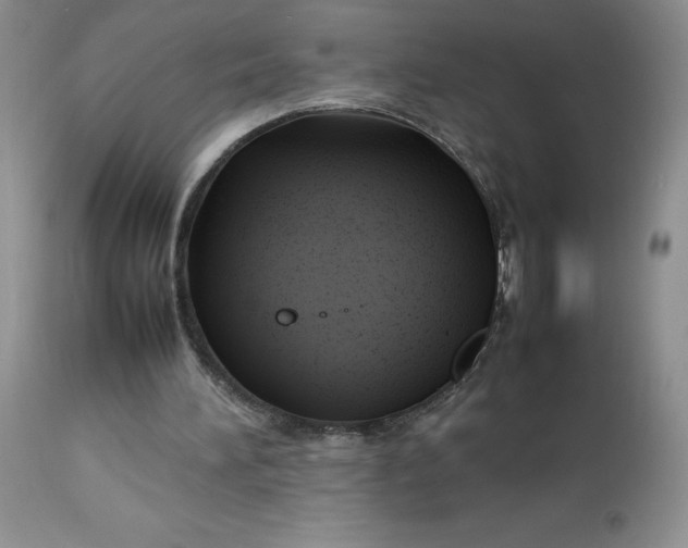 X0000112750196200909101548