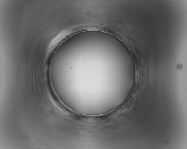 X0000112750197200909101548