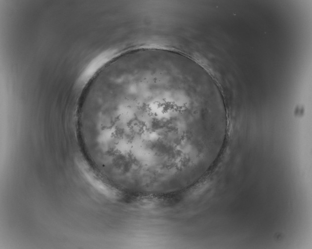 X0000112750199200909101548