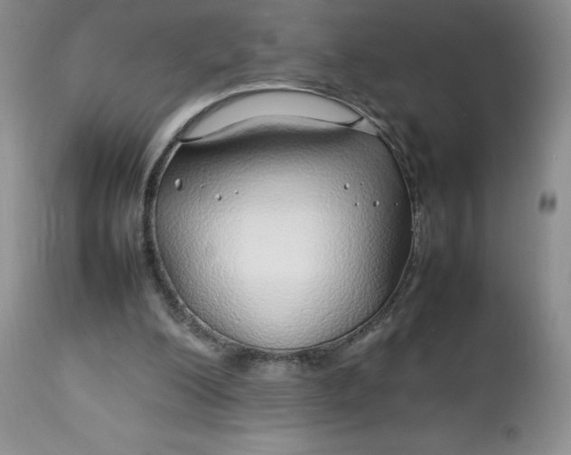 X0000112750200200909101548