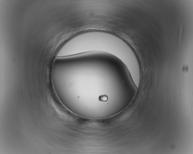 X0000112750205200909101548