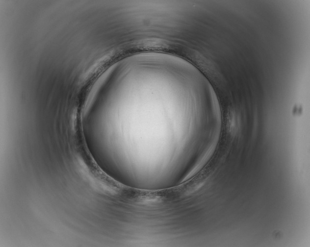 X0000112750206200909101548