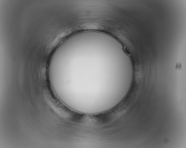 X0000112750207200909101548