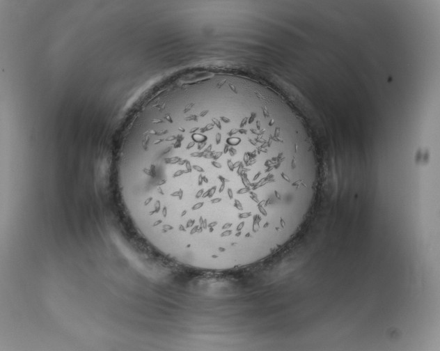 X0000112750208200909101548