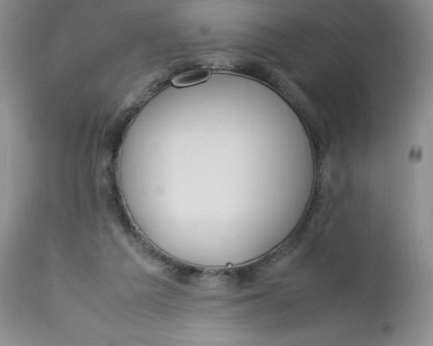 X0000112750209200909101548