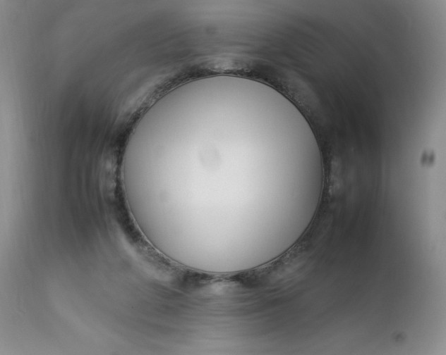 X0000112750210200909101548