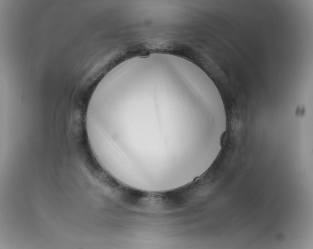 X0000112750211200909101548