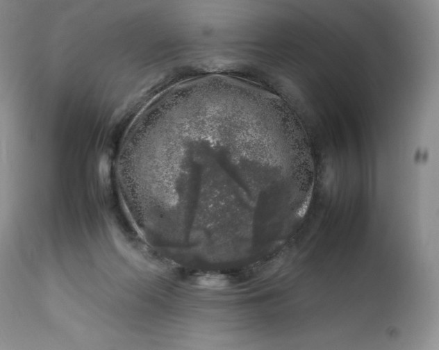 X0000112750214200909101548