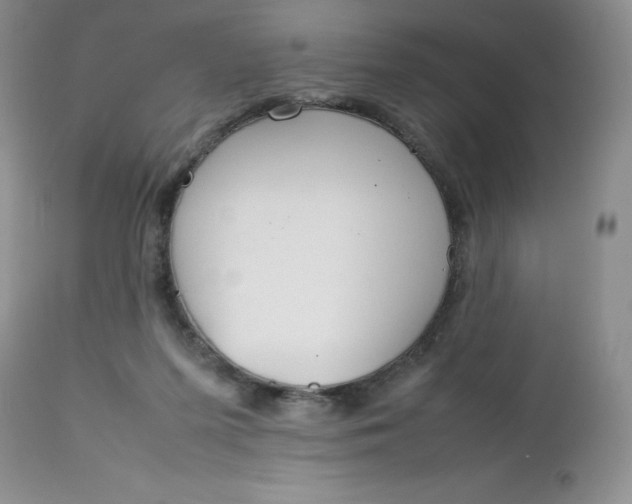 X0000112750215200909101548