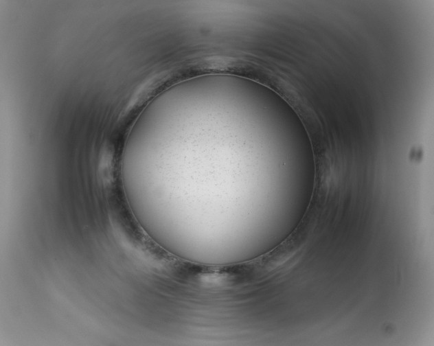 X0000112750216200909101548