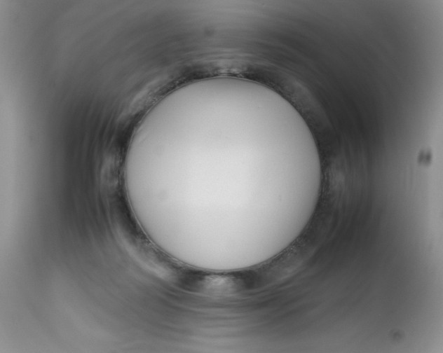 X0000112750218200909101548