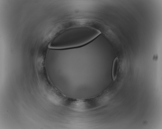 X0000112750219200909101548