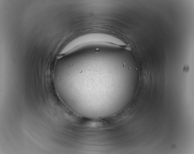 X0000112750220200909101548