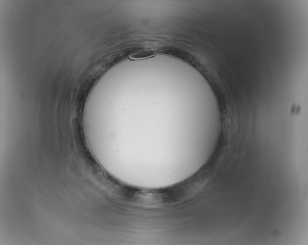 X0000112750221200909101548