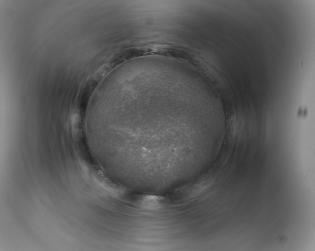 X0000112750222200909101548