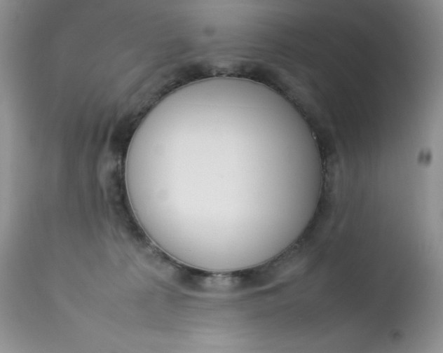 X0000112750225200909101547