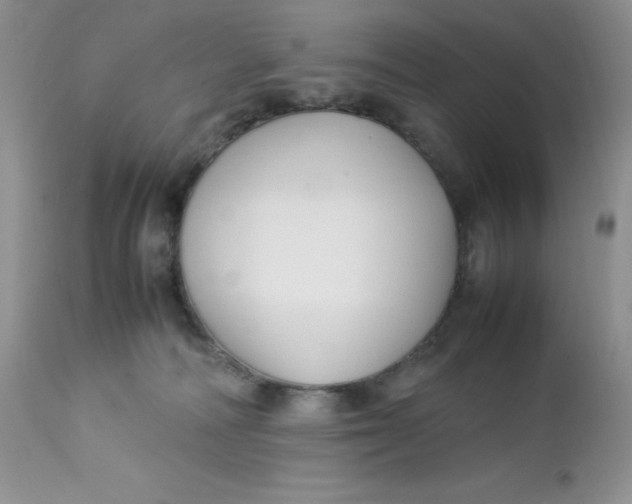 X0000112750226200909101547