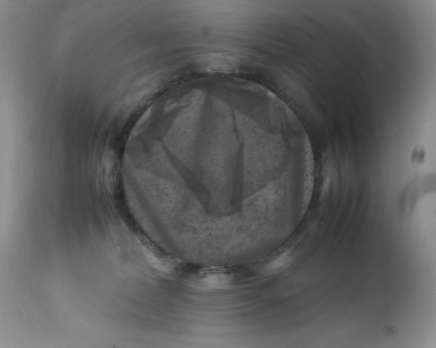 X0000112750228200909101547