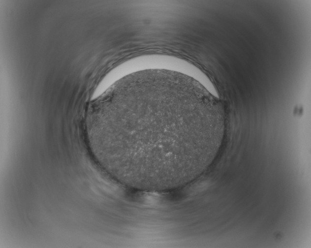 X0000112750229200909101547