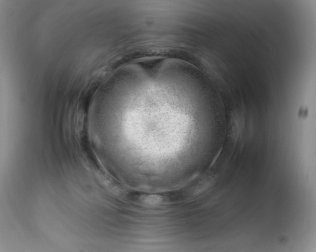 X0000112750230200909101547