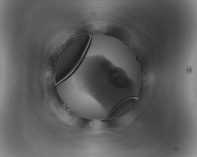 X0000112750231200909101547