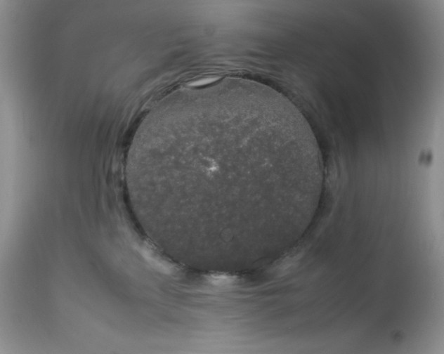 X0000112750233200909101547