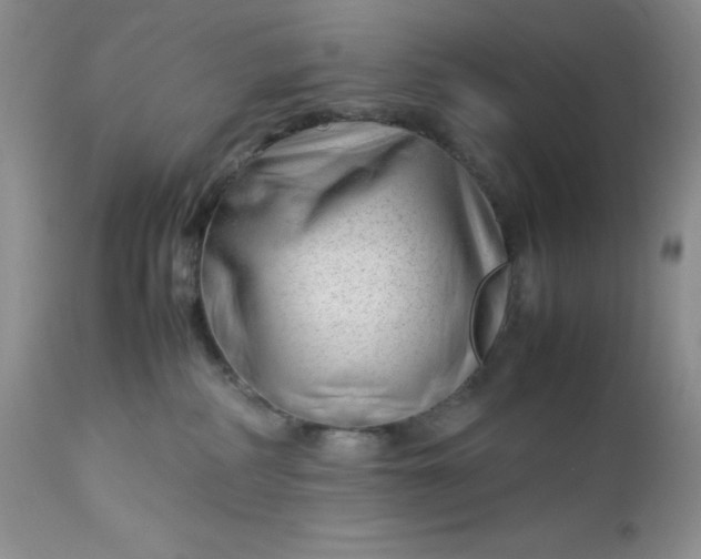 X0000112750234200909101547