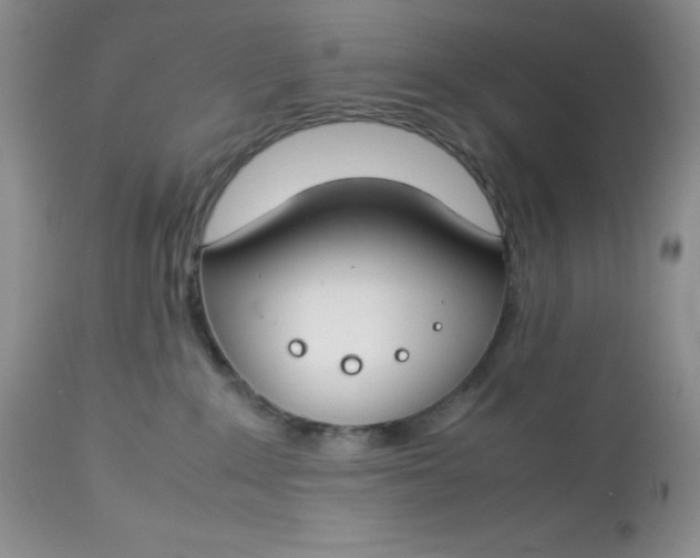 X0000112750235200909101547