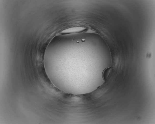 X0000112750236200909101547