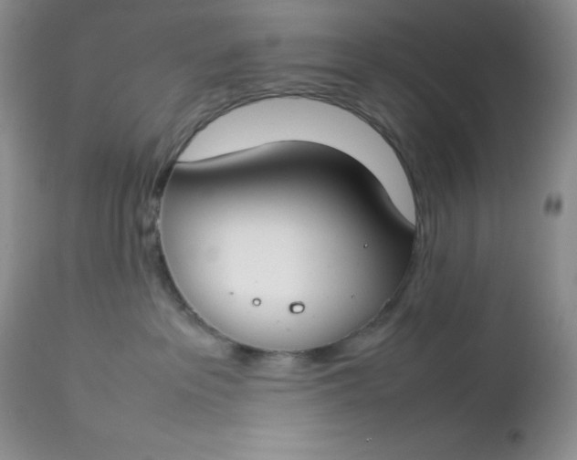 X0000112750237200909101547