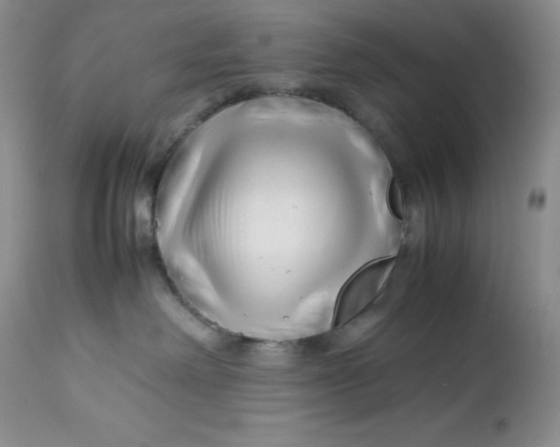 X0000112750238200909101547