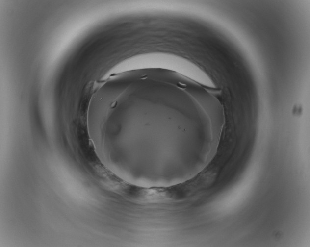 X0000112750239200909101547