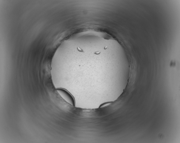 X0000112750240200909101547