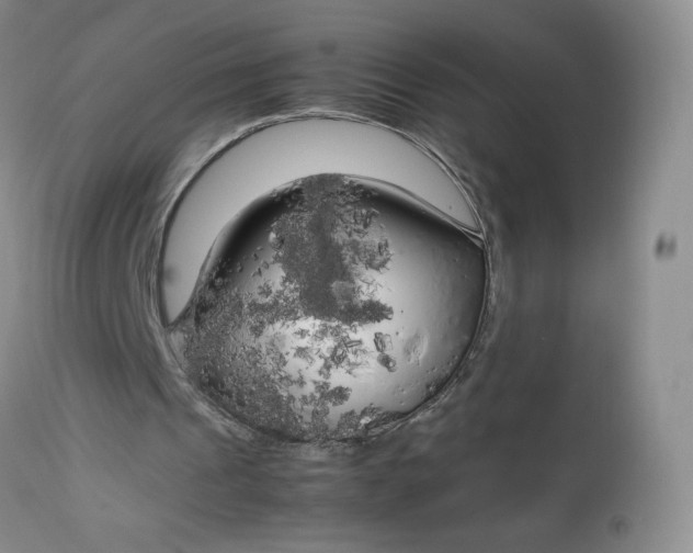 X0000112750241200909101546