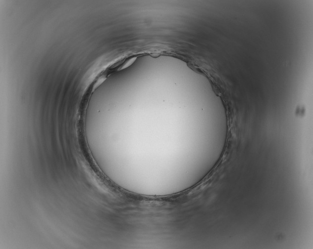 X0000112750242200909101546