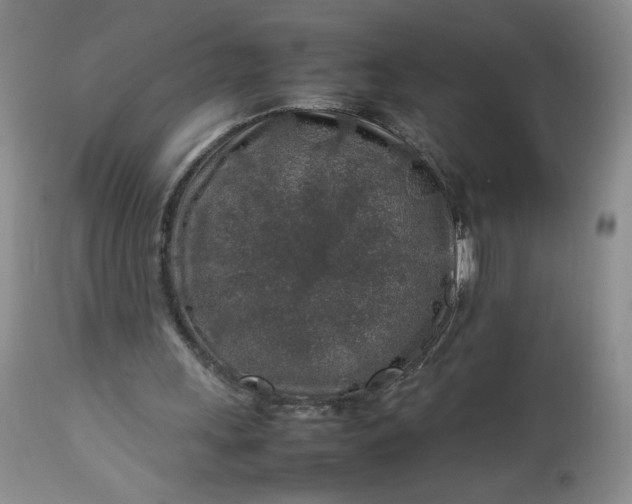 X0000112750243200909101546