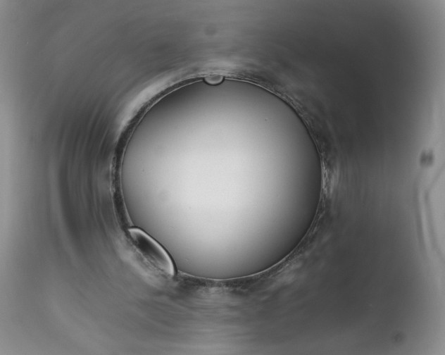 X0000112750244200909101546